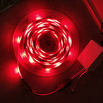 LED стрічка світлодіодна Strip 2835 RGB комплект з пультом, фото 5
