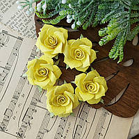 Набір Паперові троянди жовті 5