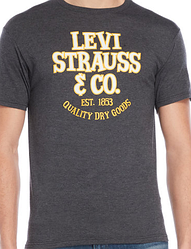 Чоловіча футболка Levis® Classic Graphic Tee - Charcoal