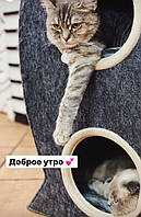 Домик для кота и кошки «Rocket» от Cat and Dog House