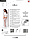 Панчохи ST005 5 bianco - Passion Feromon, фото 4