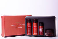 Набір мініатюр по догляду за віковою шкірою Innisfree Cauliflower Mushroom Vital Special 4 Kit (8809612879804), фото 2