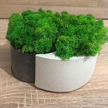 Кашпо зі стабілізованим мохом M@M Еко Декор Сірий (023 mm g)