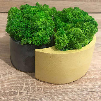 Композиція кашпо зі стабілізованим мохом 2 шт. M@M Еко Декор Золотий (022mm gold)