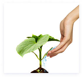 Добрива комплексні водорозчинні