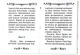 Акафіст Пресвятої Богородиці на честь ікони Її «Багакання мертвих», фото 3