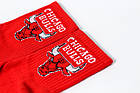 Шкарпетки Crazy Llama`s Chicago Bulls, One size (37-42), фото 3