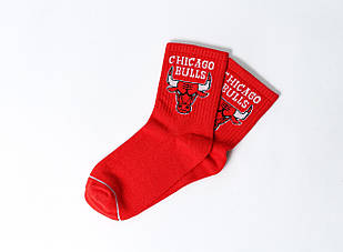 Шкарпетки Crazy Llama`s Chicago Bulls, One size (37-42)