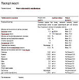 Нерафінована олія конопляна 0.5 кг, фото 2