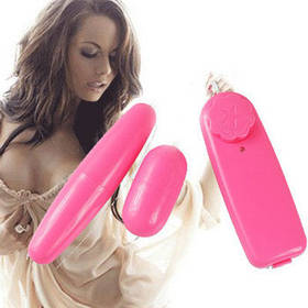 Віброяйзо з пультом управління подвійне віброяцо