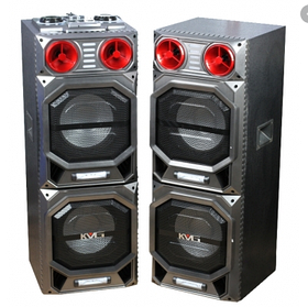 Акустична система Temeisheng T262