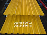 Профнастил  РАЛ 1003., фото 5