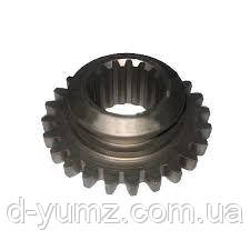 Шестірня приводу Z = 39 (пр.о МЗШ) 70-1601086-Б, фото 1