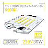 Світлодіодна матриця 30 Вт 220 В для світлодіодного LED прожектора DOB 30 W 220 V 6000 К, фото 3