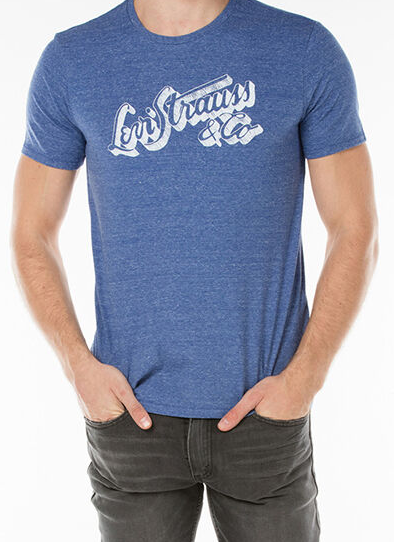 Чоловіча футболка Levis® Wordmark Tee - Sodalite Blue (M), фото 1