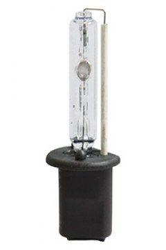 Ксенонова лампа Prolumen H1, фото 1