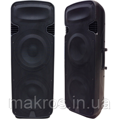 Пасивна акустична система EON215, фото 1