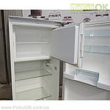 Холодильник BOSCH KIL38A40/02, фото 5