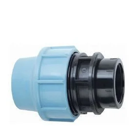 Муфта з внутрішньою різьбою 63х2" для поліетиленових пнд труб (Santehplast)