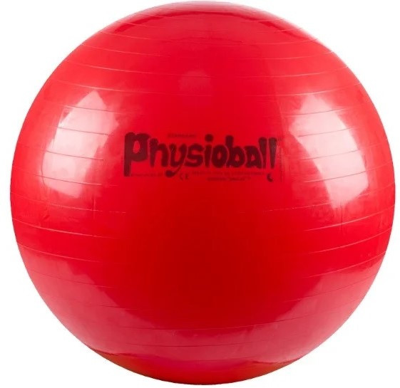 Мяч гимнастический Ledragomma Physioball Standard - фото 6 - id-p1143090179