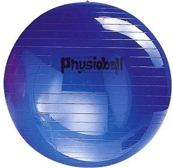 М'яч гімнастичний Ledragomma Physioball Standard, фото 1