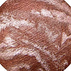 Тіні для Повік Шоколадні Запечені, Зебра Середня LDM сет В Тон 15 Макіяж Очей, Декоративна Косметика, фото 2