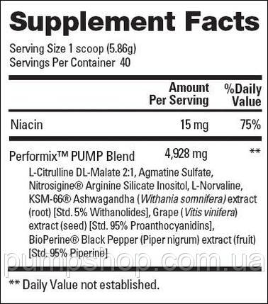 Передтренувальний комплекс Performix PUMP PreWorkout 40 порц. (уценка), фото 4