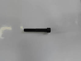 Болт М10х70