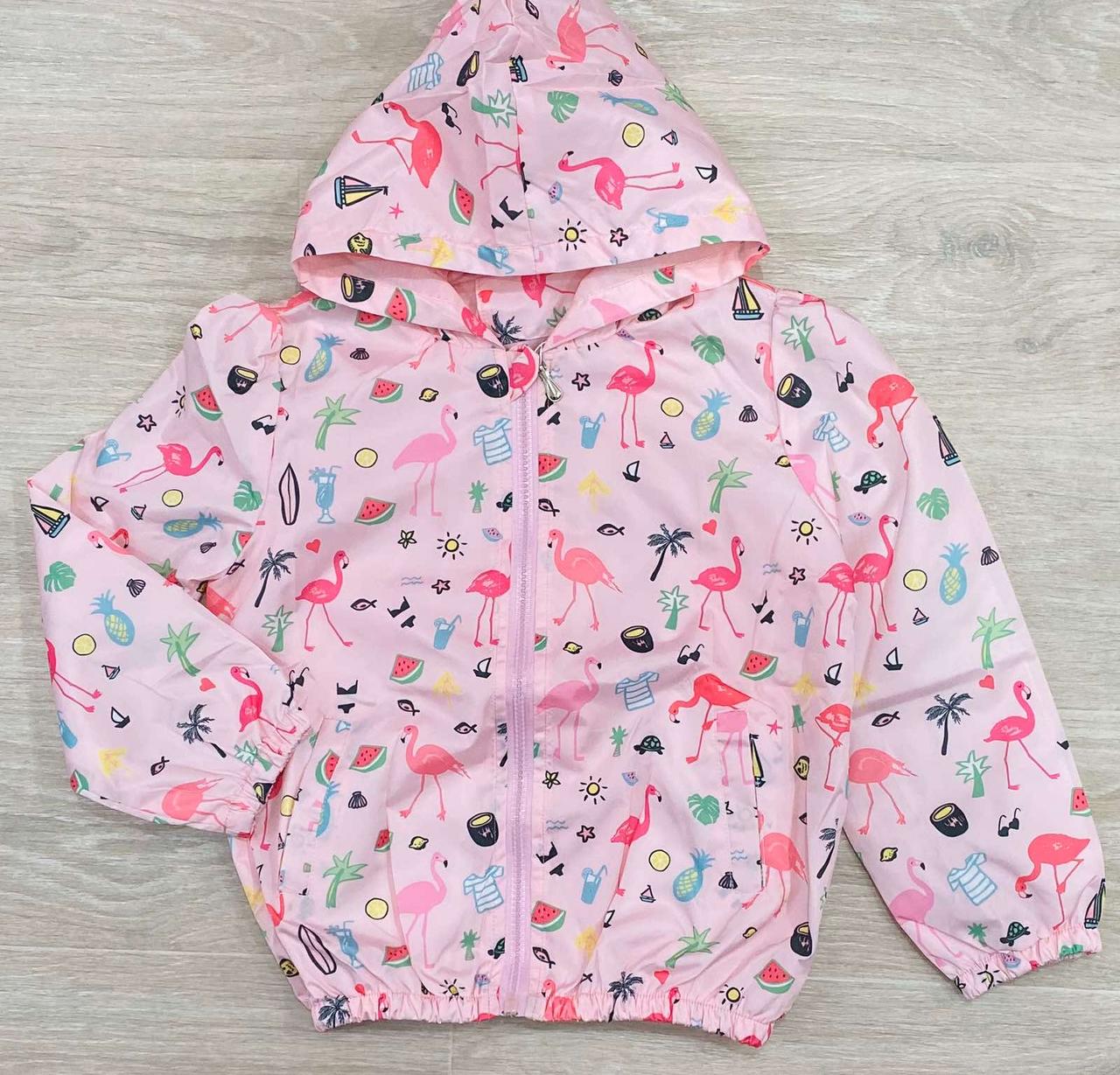 Ветровка для девочки весенняя