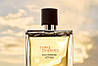 Hermes Terre d'hermes Eau Intense Vetiver парфумована вода 50 ml. (Ермес Терре Д'Ермес Еау Інтенс Ветівер), фото 6