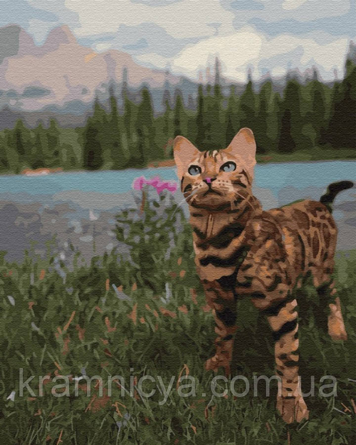 Картина за номерами Бенгальська кішка у гір, 40х50 Brushme (GX34172)