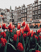 Картина по номерам Тюльпаны Амстердама, 40х50 Brushme (GX34169)