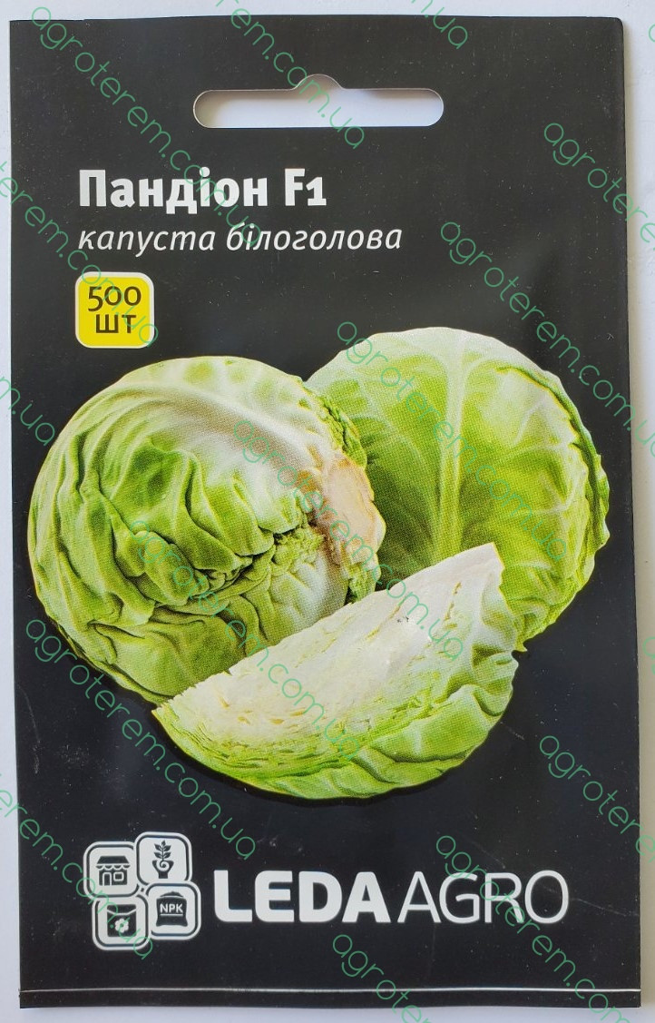 Капуста Пандіон 500 н.