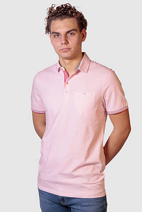 Мужская футболка поло Ted Baker, фото 2