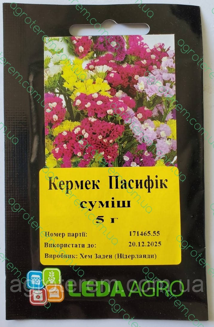 Квіти кермек Пасифік суміш. 5г
