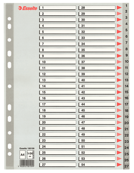 Роздільники пластикові Esselte, РР, А4, цифрові 1-54, арт.100109