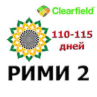 Рими 2 стандарт Сады Украины, семена подсолнечника под евролайтинг