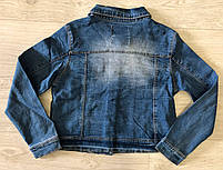 Куртка джинсова для дівчаток оптом, Glo-story, 122/128-158/164 см, № GSX-8048, фото 6