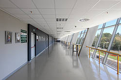 Підвісні акустичні стелі AMF (Німеччина) THERMATEX Thermofon