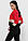 Триколірний жіночий світшот Розміри : 42,44,46,48, фото 4