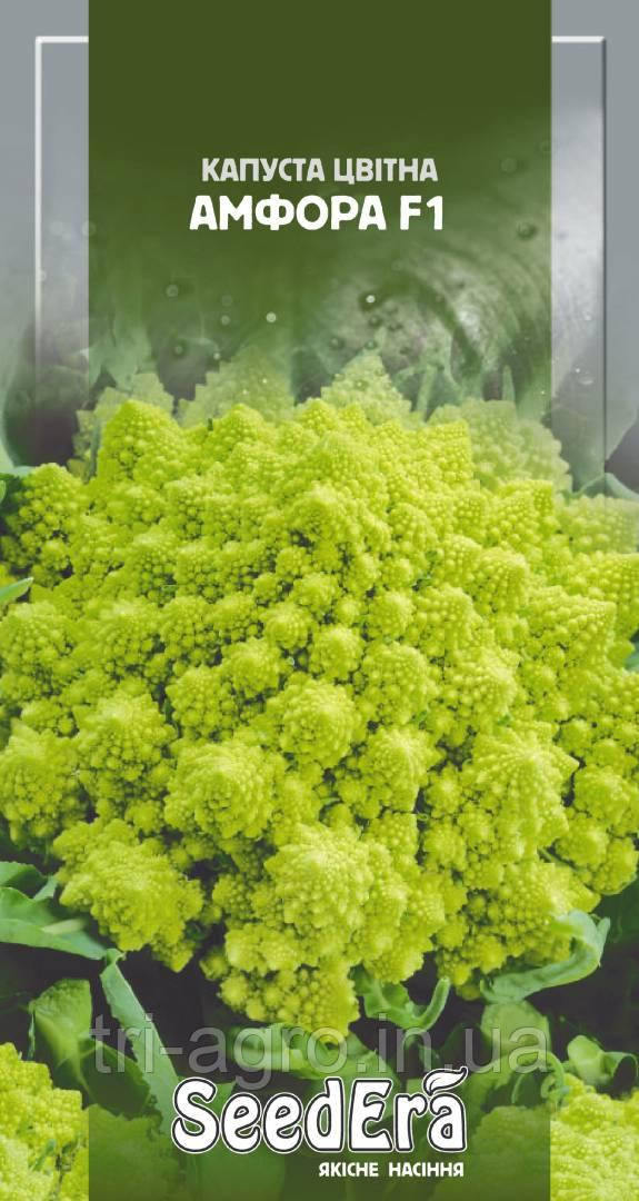 Капуста цвітна Амфора F1 30нас Seedera
