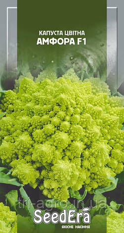 Капуста цвітна Амфора F1 30нас Seedera, фото 1