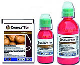 Протруювач Селест Топ 20 мл, Syngenta, фото 6