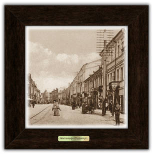 Класична Картина Місто Житомир