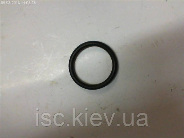 Кільце ущільнювальне Einhell HW810 417312002008, фото 1