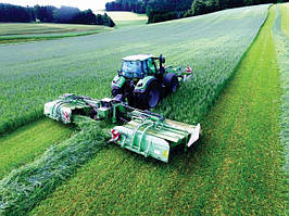 Зелена лінія