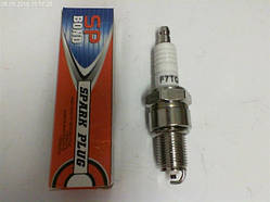Свічка запалювання Einhell F7TC 415121001