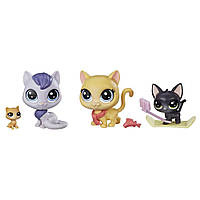 Набор Петов 4 Кошечки с сюрпризом Pet Shop Hasbro Kitty Crew E1014