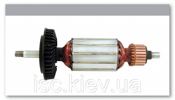 Якір Bosch&P PWS 600 1604010429P