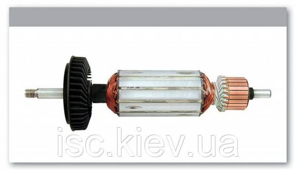 Якір Bosch&P GWS10-125NT 1604010640P, фото 1